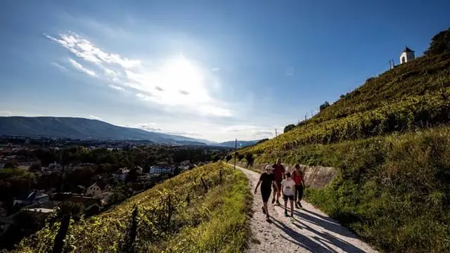 Visit Maribor team building