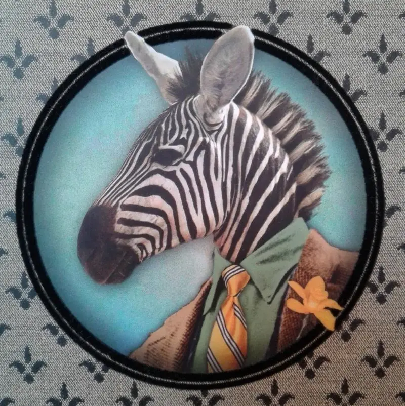 ZEBRA band