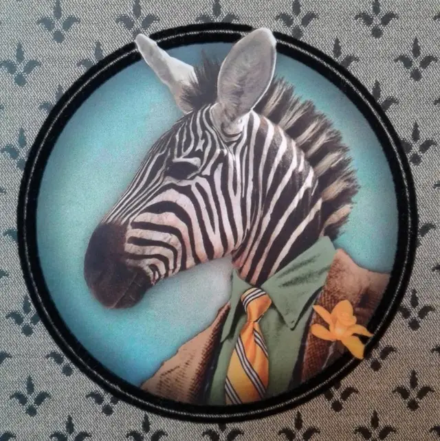 ZEBRA band
